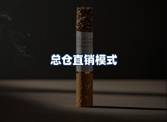 专业团队办公环境